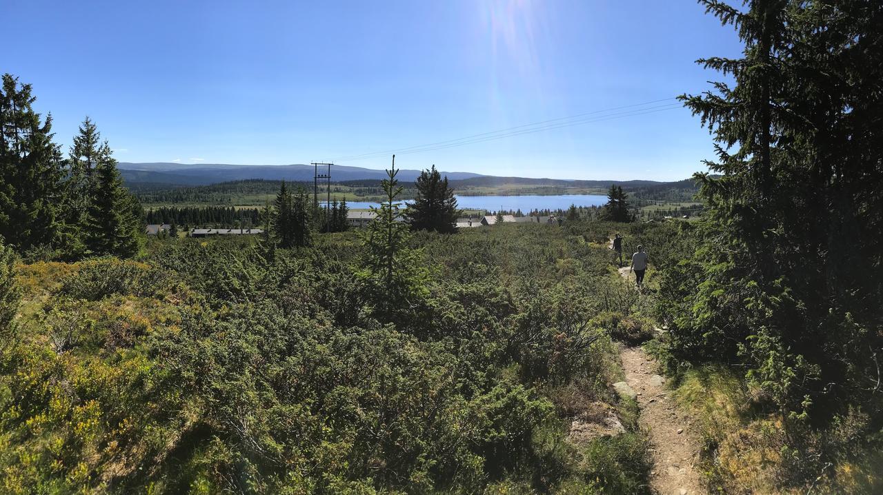 Hornsjo Fjellhotel Хафьель Экстерьер фото